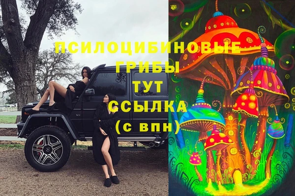 героин Алзамай