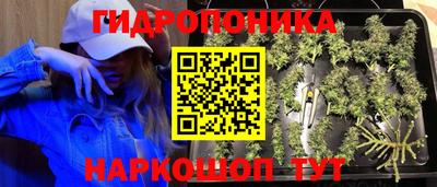 круглые Славгород