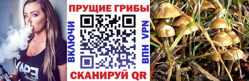 Галлюциногенные грибы мухоморы где можно купить Переславль-Залесский