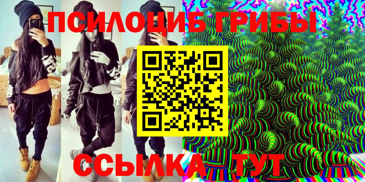 Псилоцибиновые грибы мухоморы Переславль-Залесский