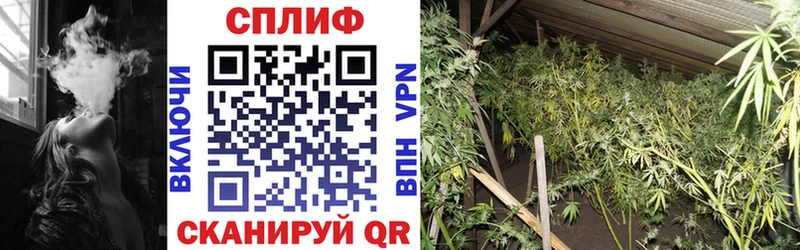 МАРИХУАНА Ganja  дарк нет наркотические препараты  Переславль-Залесский  хочу наркоту 